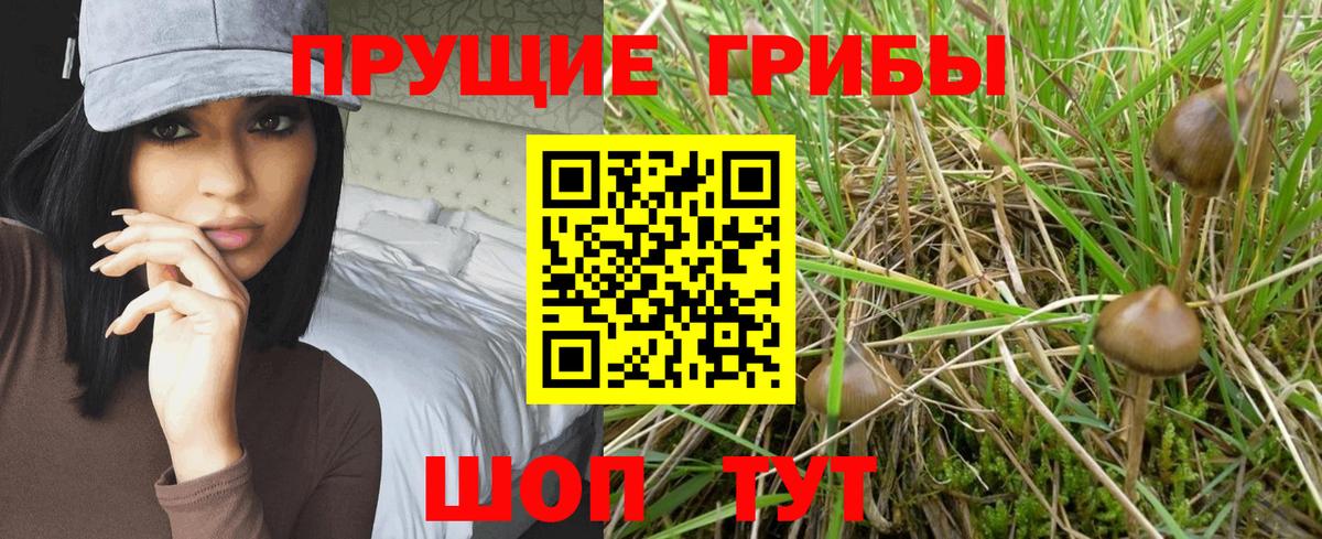 Псилоцибиновые грибы мухоморы Шали
