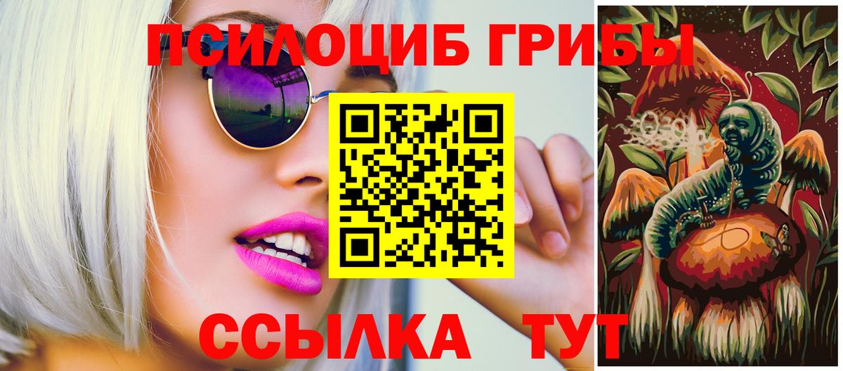 Шали  Галлюциногенные грибы прущие грибы  где купить   Псилоцибиновые грибы мицелий  Вход с VPN 